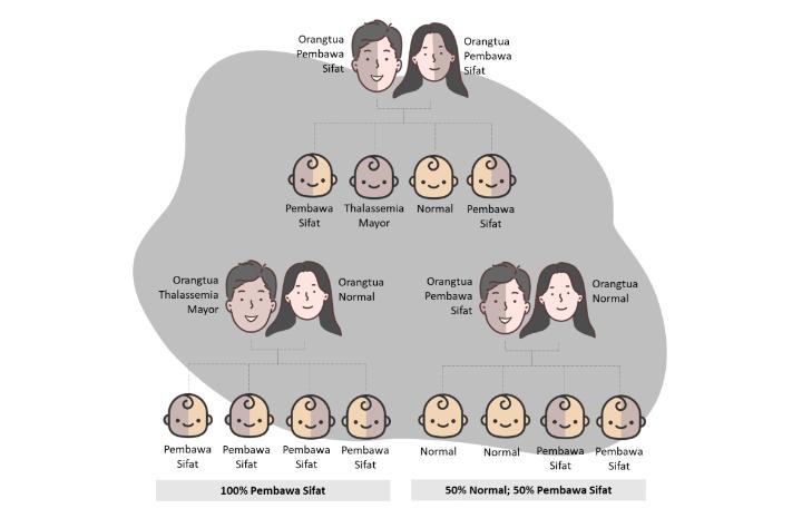 Thalassemia
